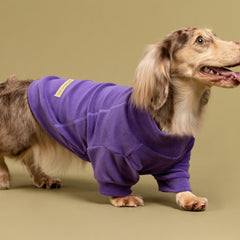 Fitwarm fleece dog sweater in dark red keeps small dogs warm outdoors
