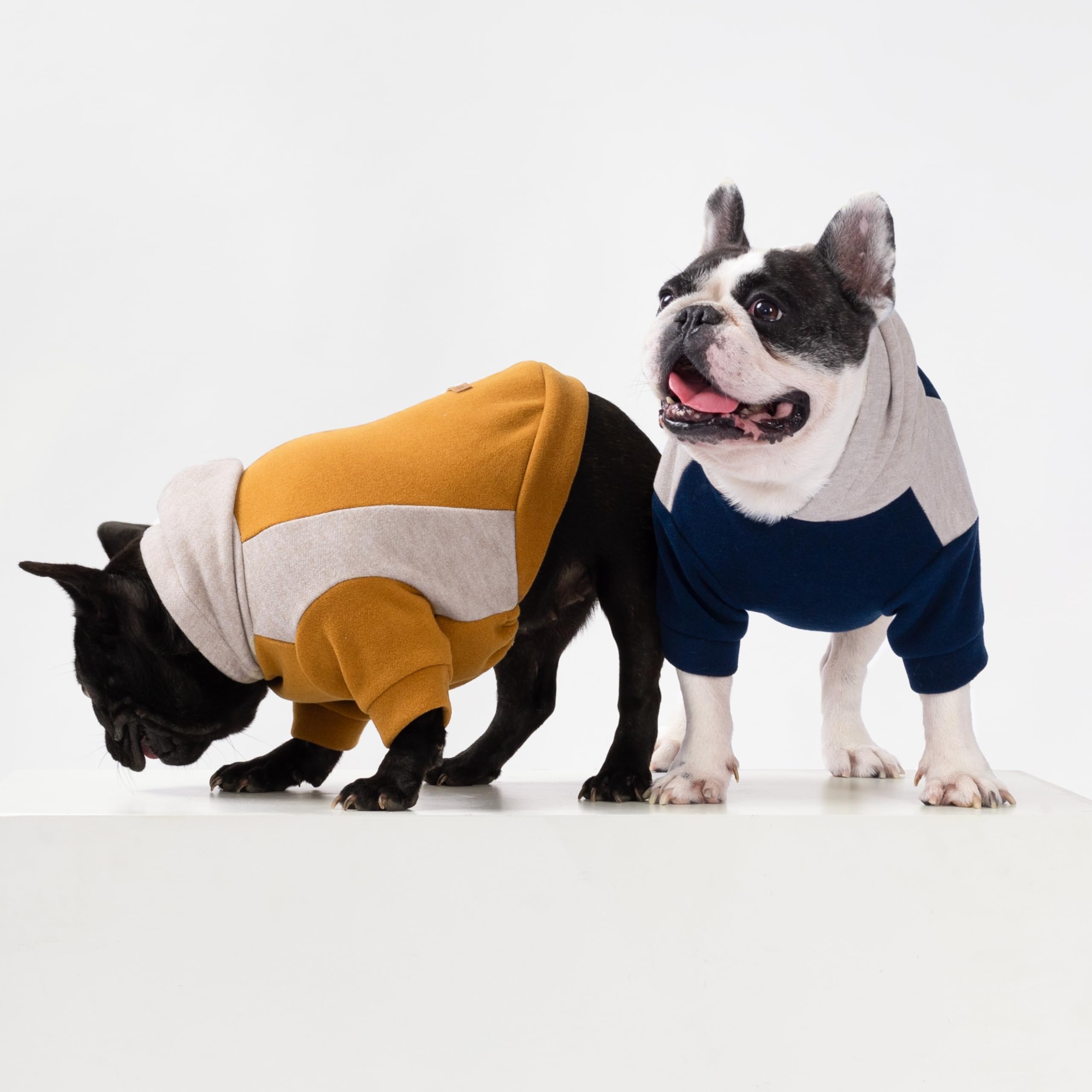 Fitwarm Color Block Dog Hoodie back view demonstrates full coverage for chilly park evenings.