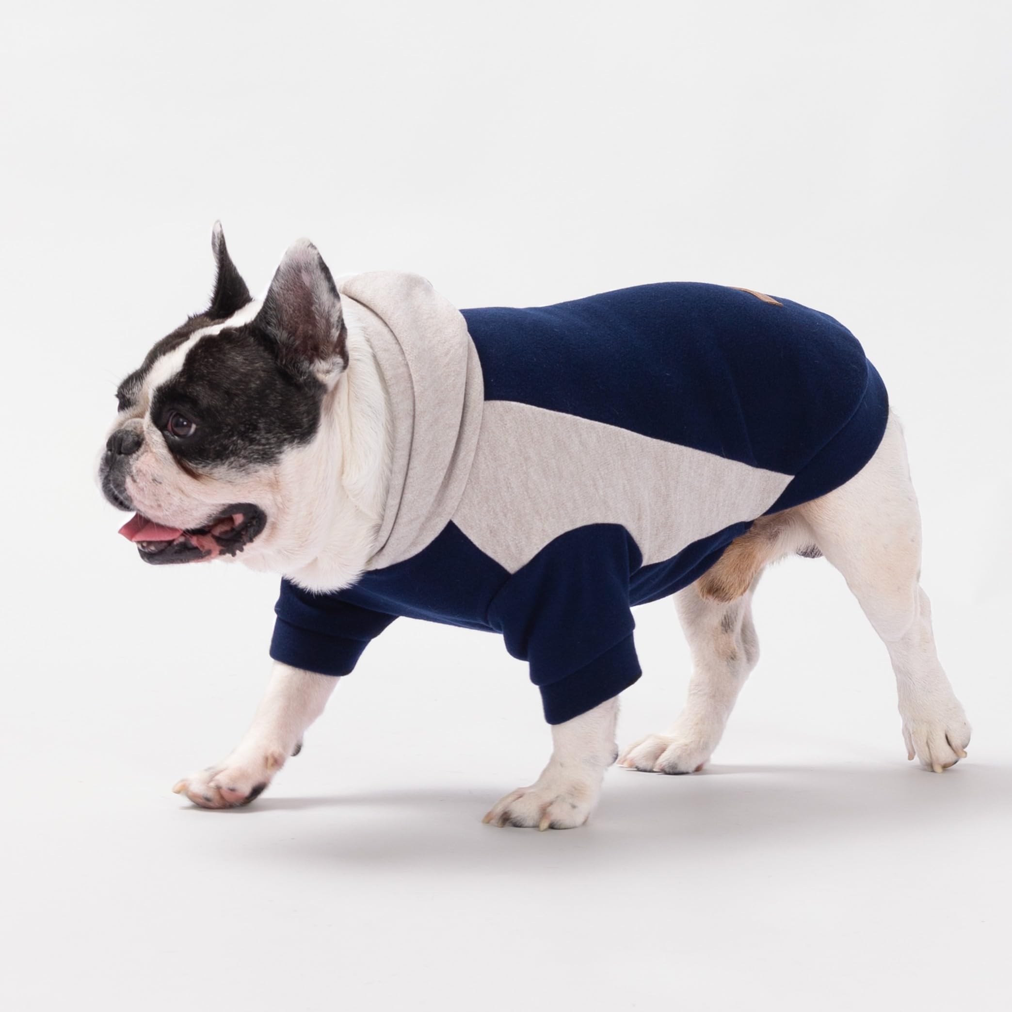 Fitwarm color block dog hoodie back view for chilly park days.