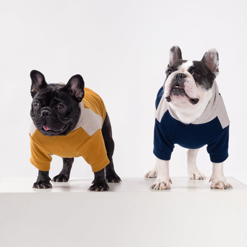 Fitwarm Color Block Dog Hoodie side view shows sleek fit with practical leash hole.