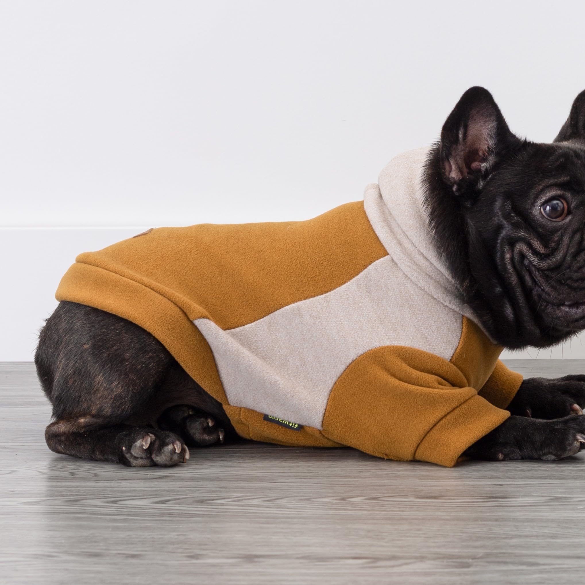 Fitwarm Color Block Dog Hoodie small-dog model wearing for outdoor strolls.