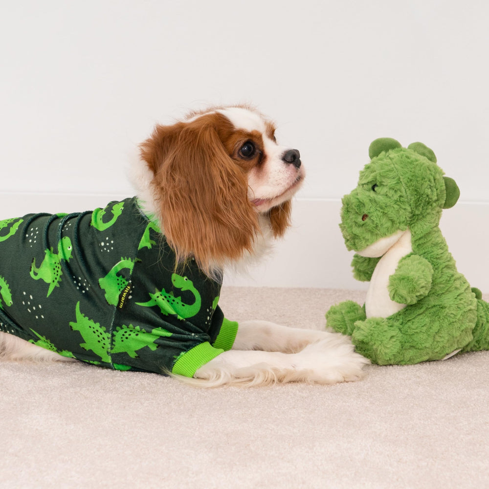 Fitwarm dinosaur dog fleece pajamas easy-on-off design for quick changes