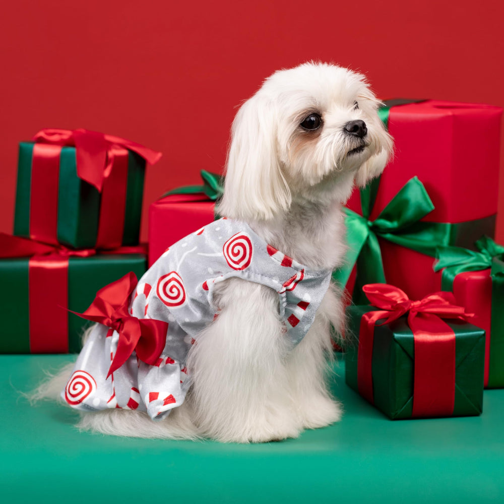 Fitwarm dog dress candy-cane pattern adds playful holiday charm.