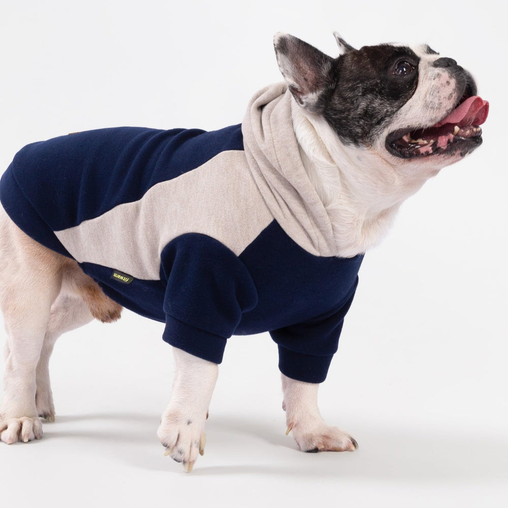 Fitwarm dog hoodie leash hole design for safe daily walks.