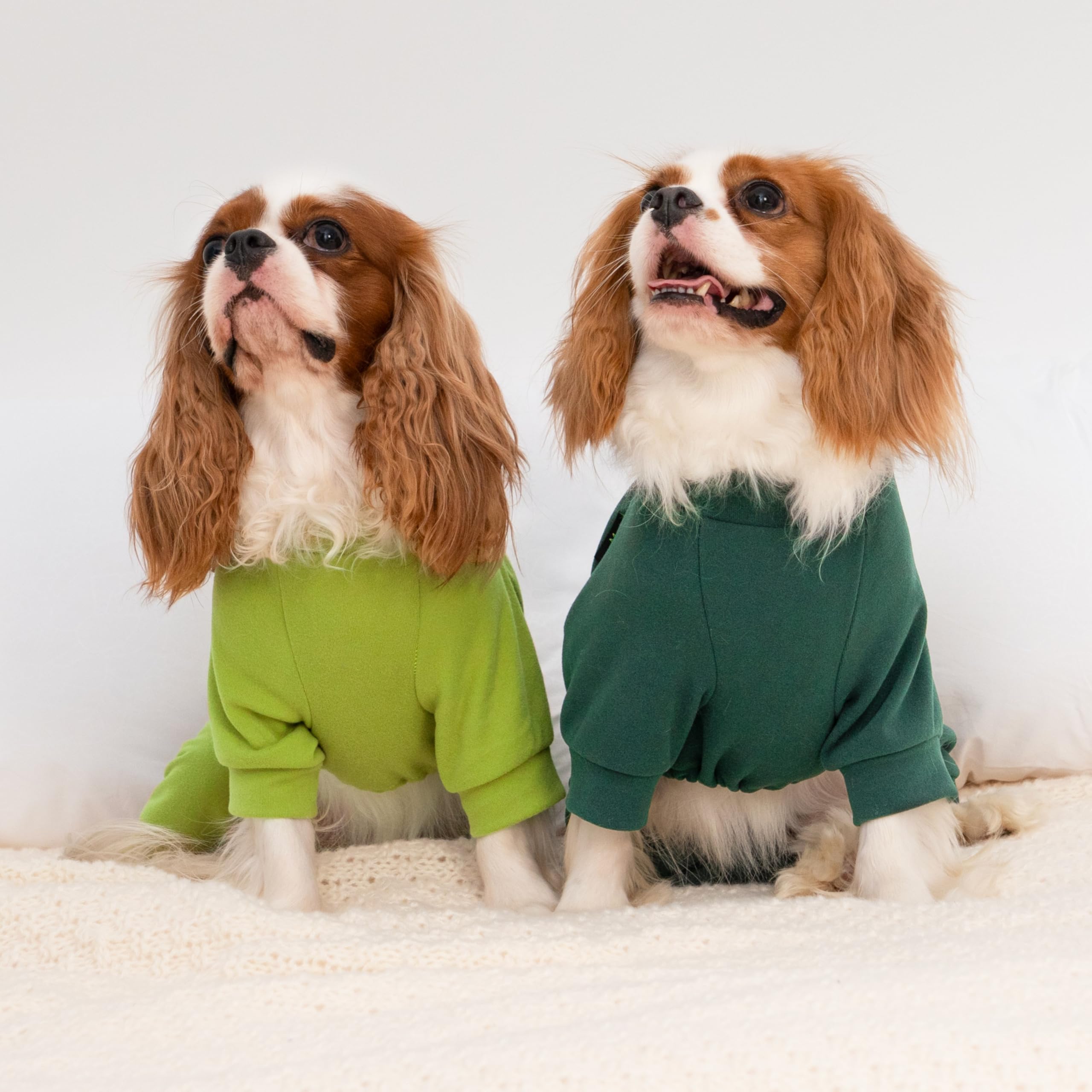 Fitwarm dog pajamas easy-on-off design for quick potty breaks