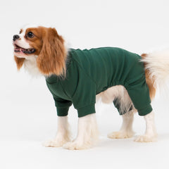 Fitwarm dog pajamas full-body yellow-green and dark-green on a small breed for warmth