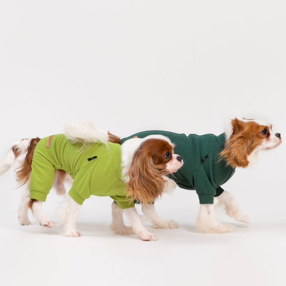 Fitwarm dog pajamas ideal for lazy mornings and cozy naps