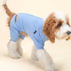Fitwarm dog pajamas with feet close-up highlighting paw protection and warmth.
