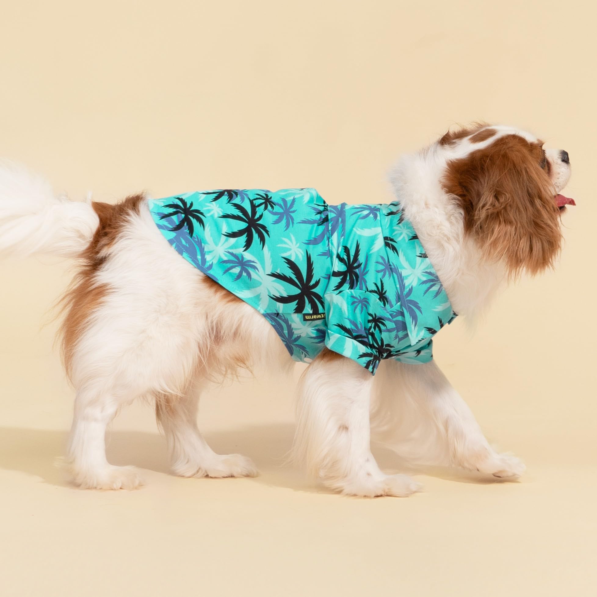 Fitwarm dog shirt medium size label highlights fit for small breeds