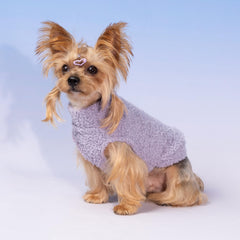 Fitwarm small dog sweater pullover design in action during cozy indoor photos