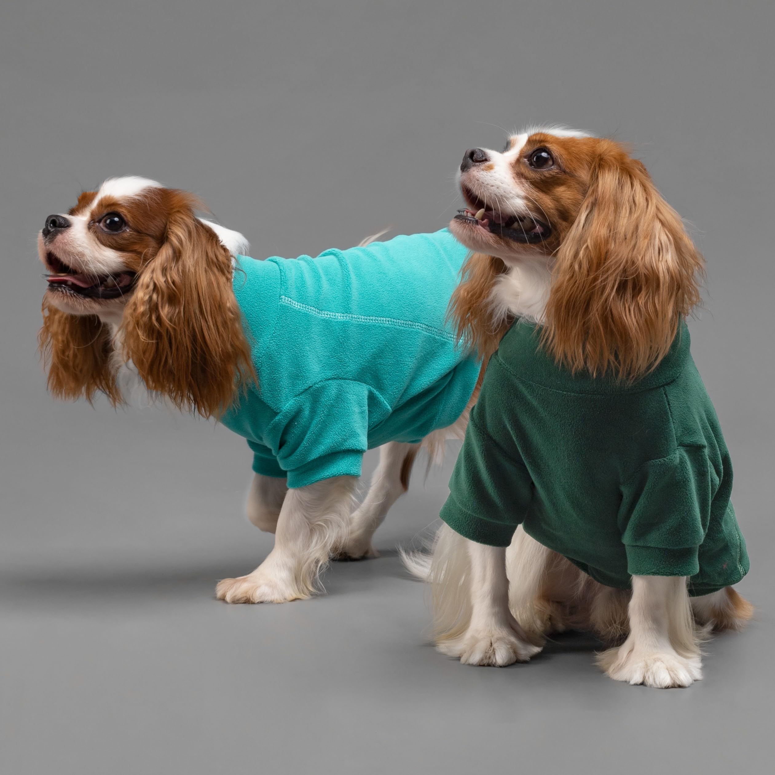 Fitwarm dog sweater with turtleneck provides cozy warmth during outdoor adventures.