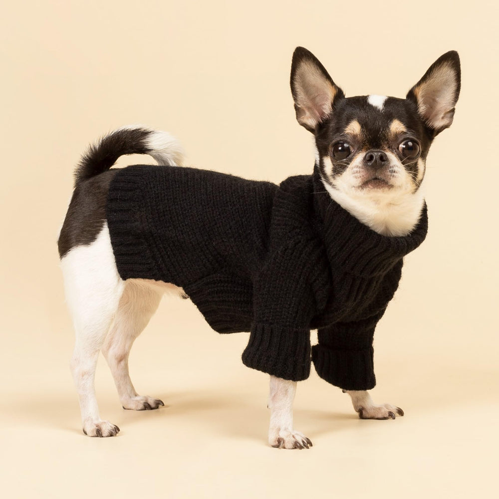 Fitwarm dog turtleneck sweater fabric closeup highlights soft fleece knit comfort.