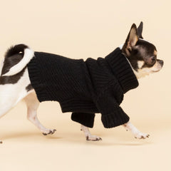 Fitwarm dog turtleneck sweater wear-test demonstrates dependable fit and mobility.