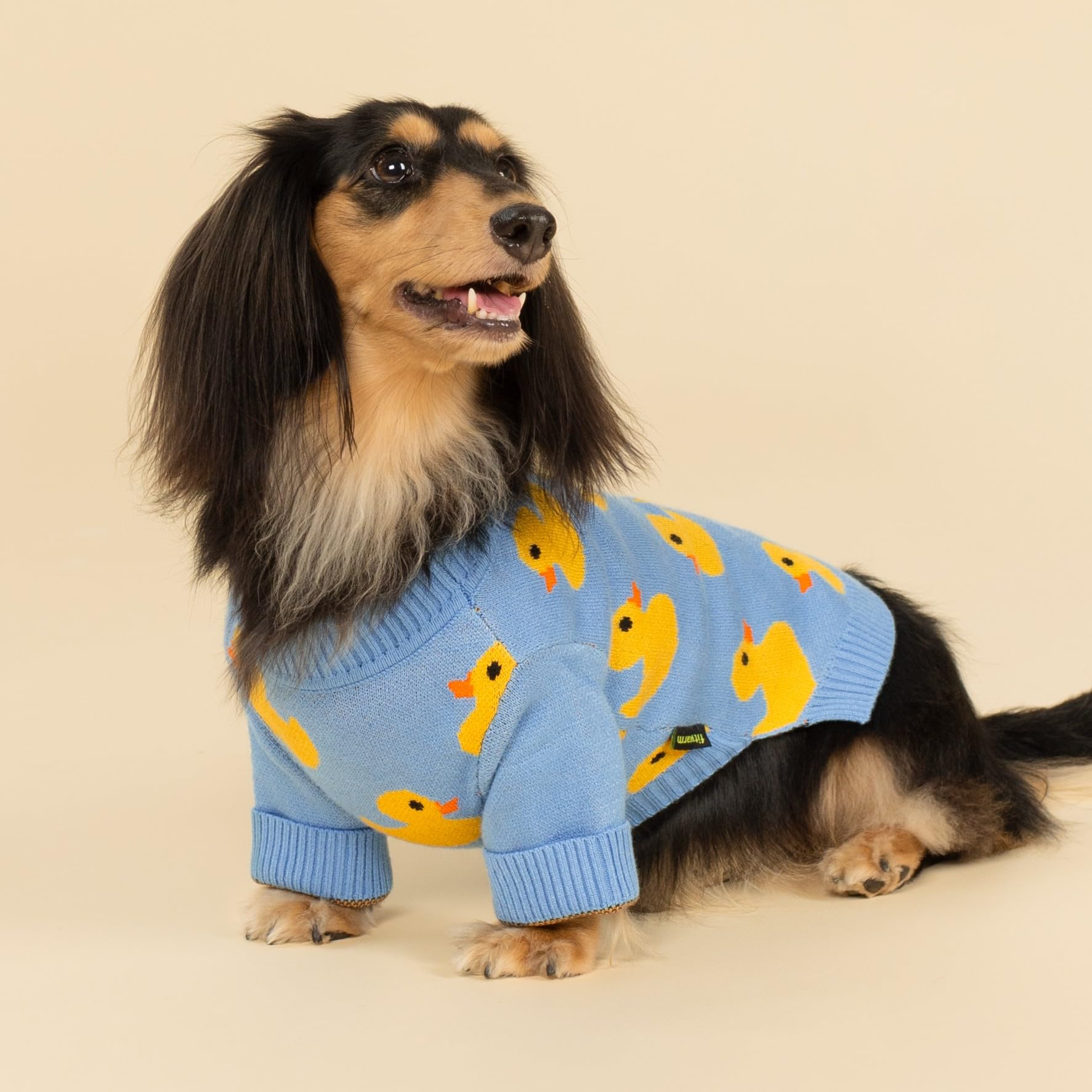 Fitwarm duck sweater supports cozy park visits and strolls
