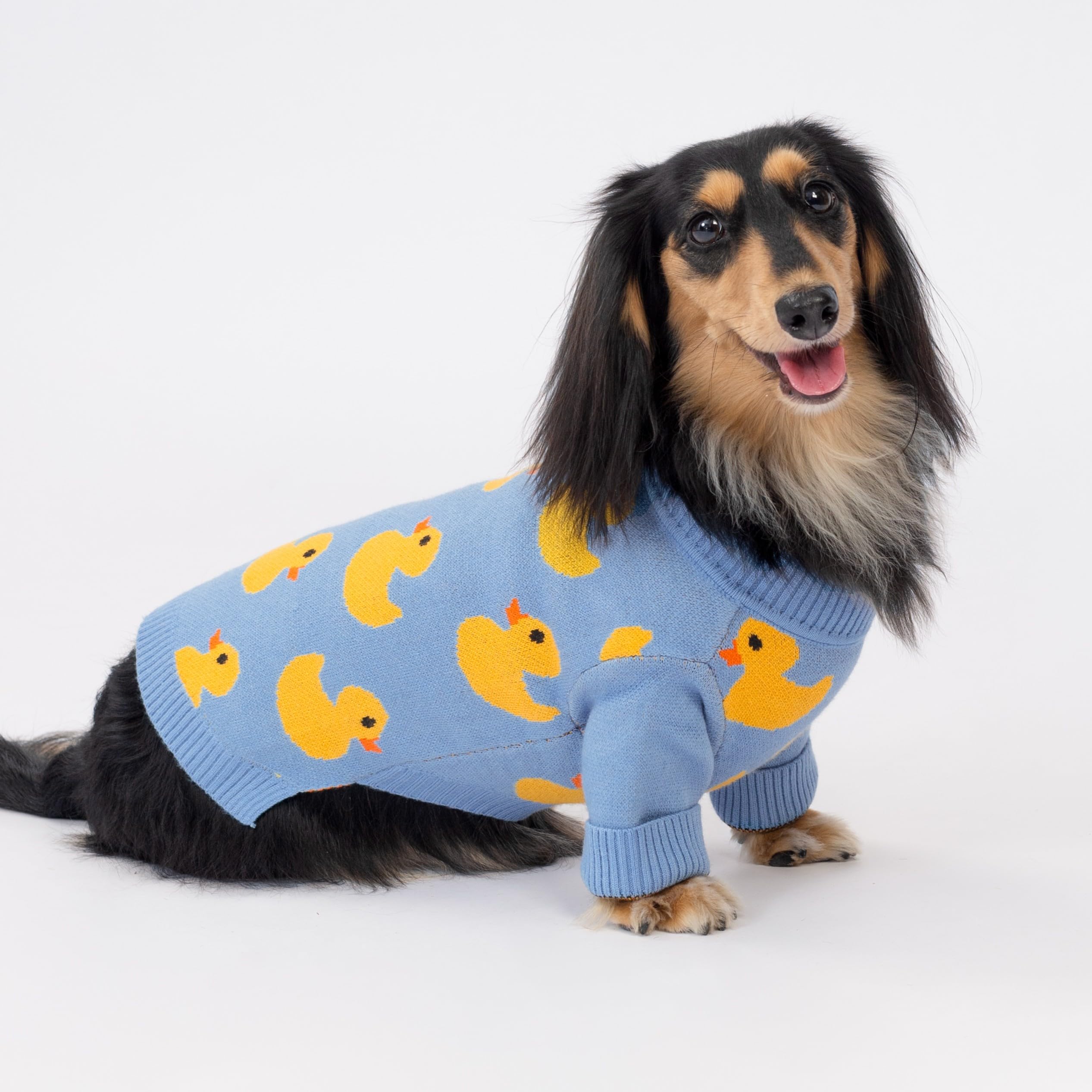 Fitwarm duck sweater small-dog fit; ideal for Maltese, Pomeranian, and similar breeds