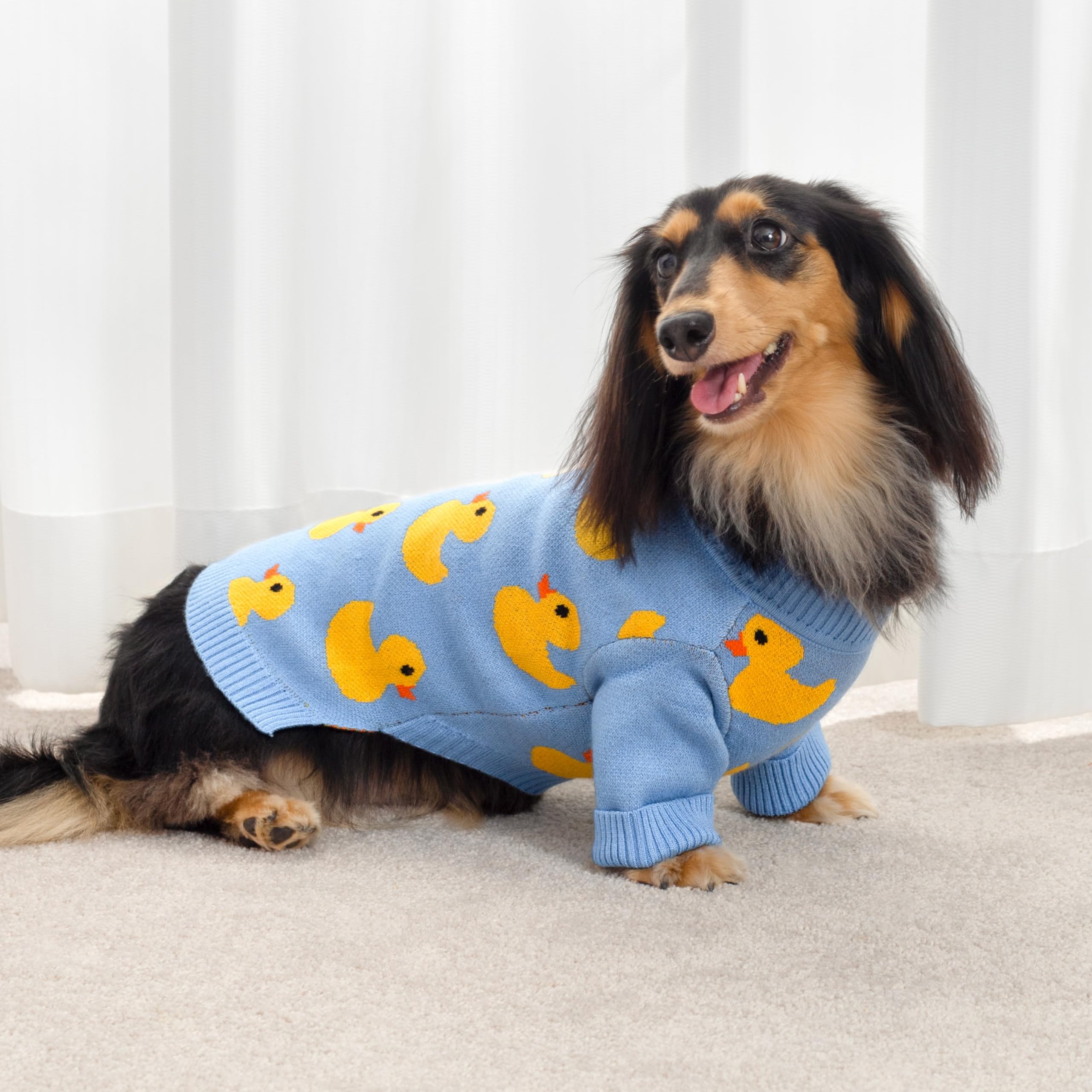 Fitwarm duck sweater yellow duck pattern on dog; playful look for outings and photos