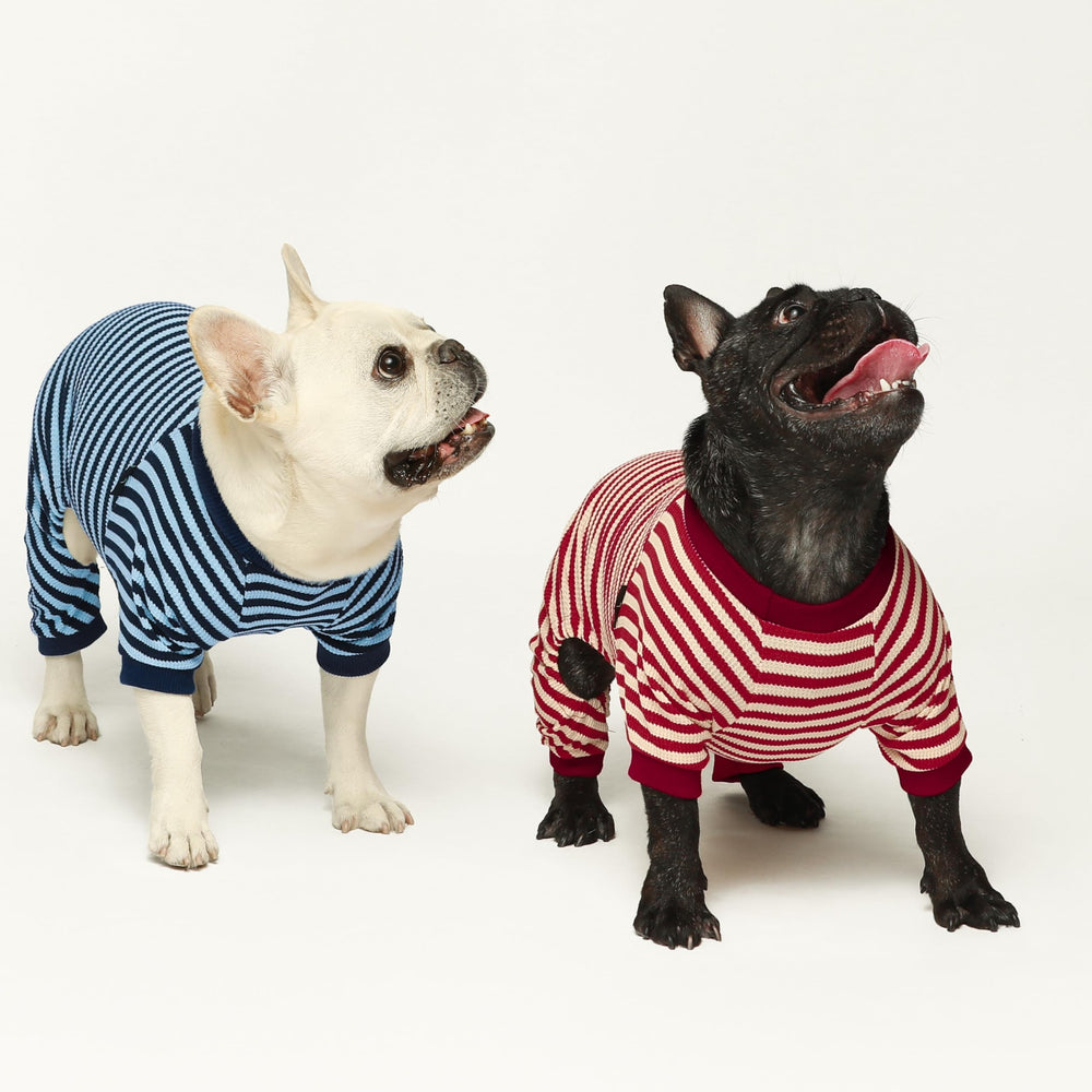 Fitwarm easy-on-off dog pajamas for quick changes