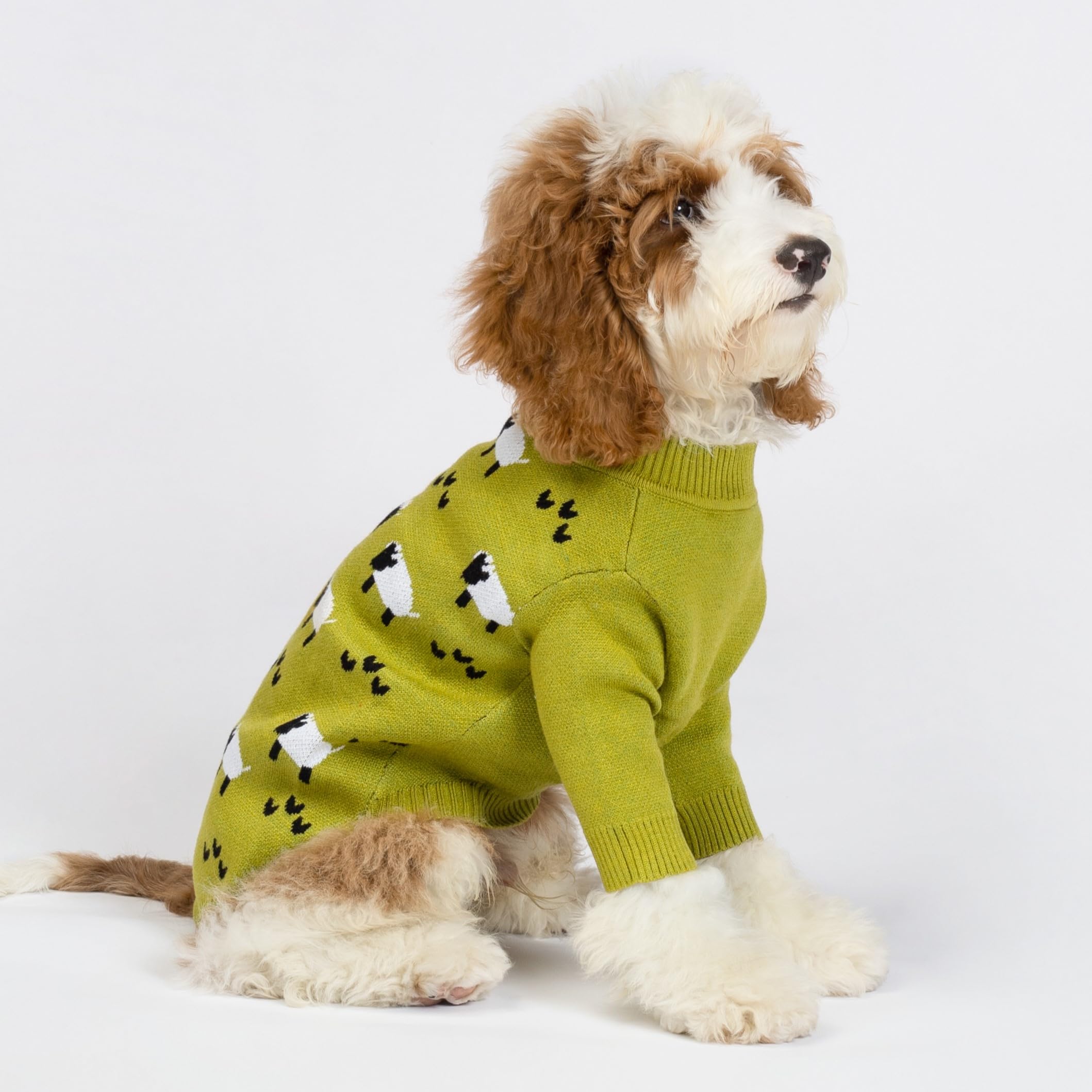 Fitwarm Funny Sheep Dog Sweater olive-green worn by small dog for snug fit