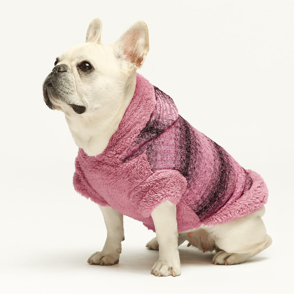 Fitwarm Fuzzy Dog Sweater hoodie detail highlighting the hood for chilly days.