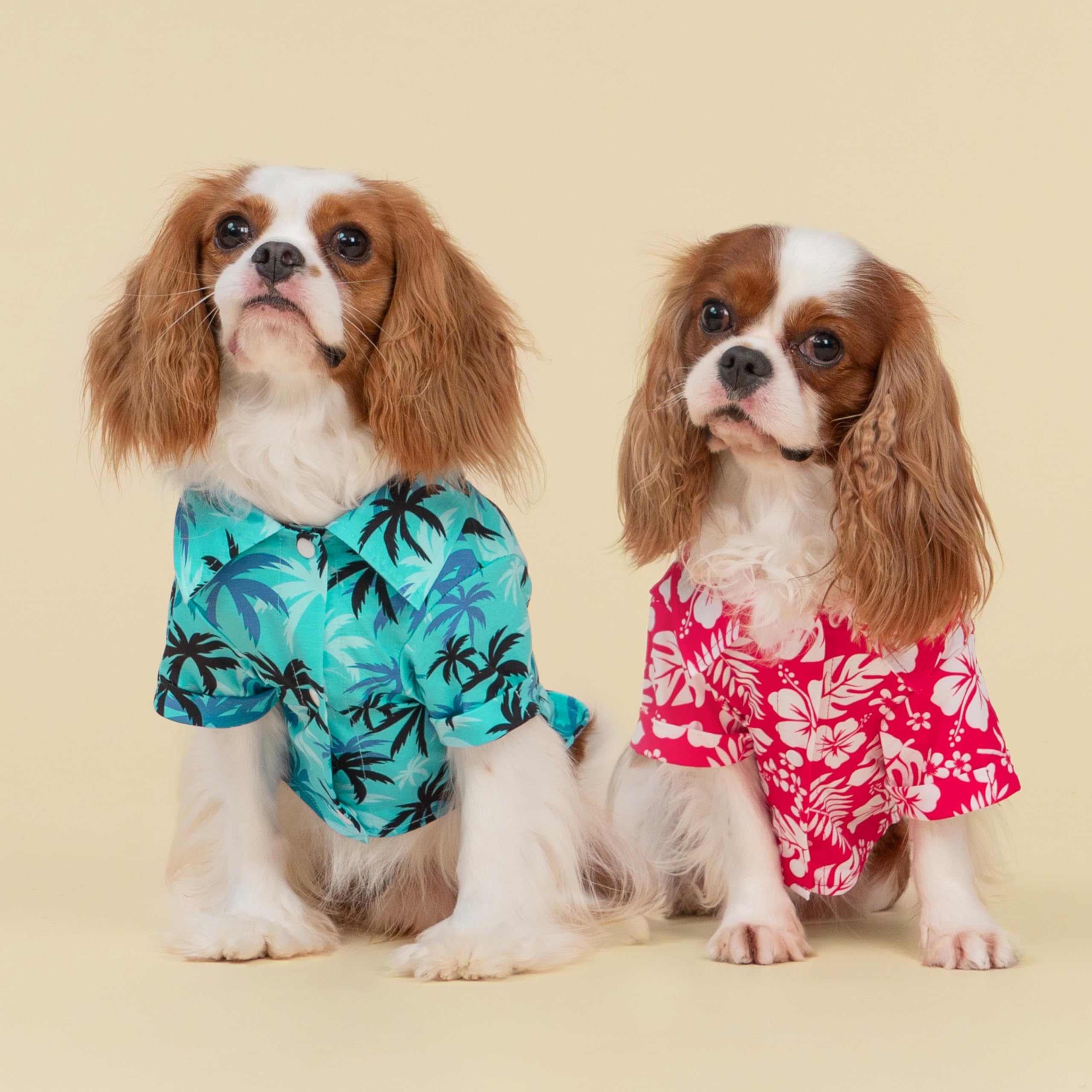 Fitwarm Hawaiian Coconut Palm dog shirt side collar detail for easy on/off