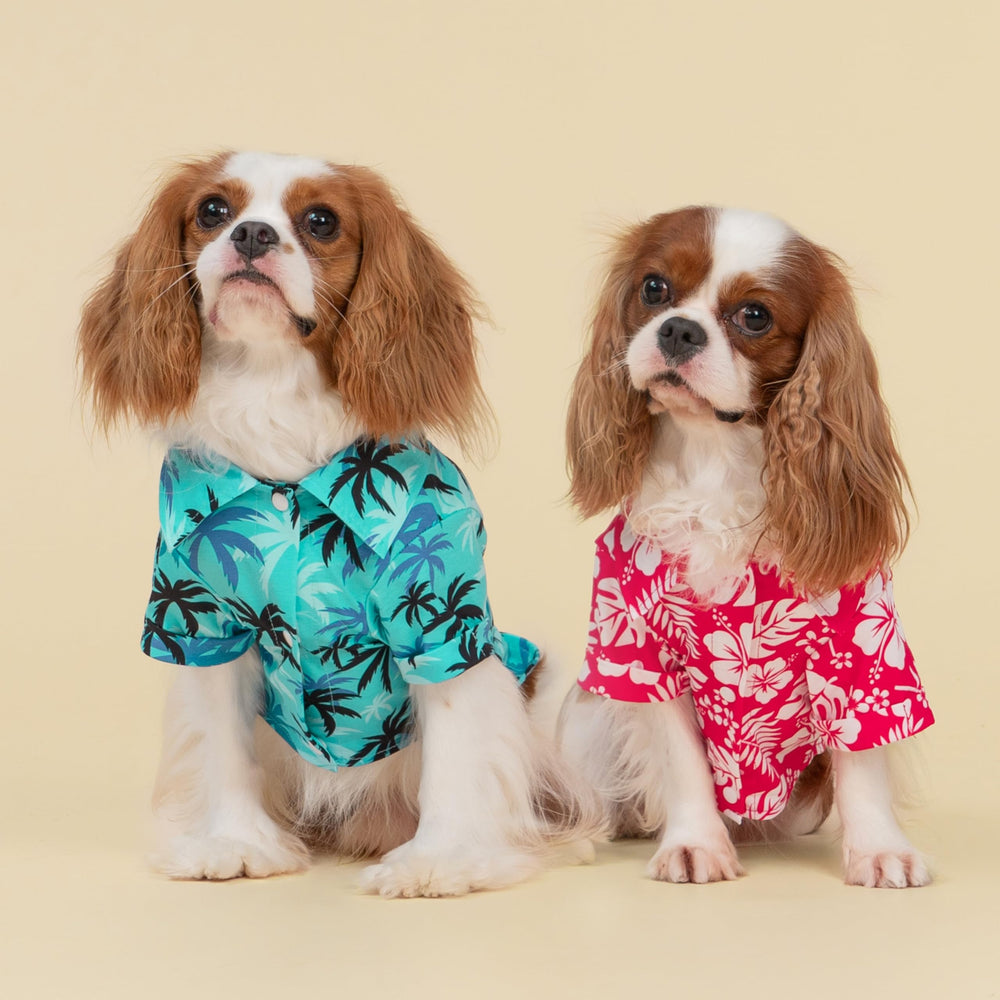 Fitwarm Hawaiian Coconut Palm dog shirt side collar detail for easy on/off
