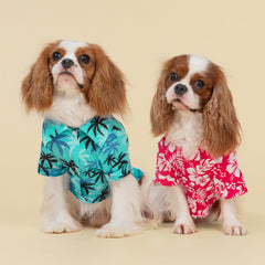 Fitwarm Hawaiian Coconut Palm dog shirt side collar detail for easy on/off
