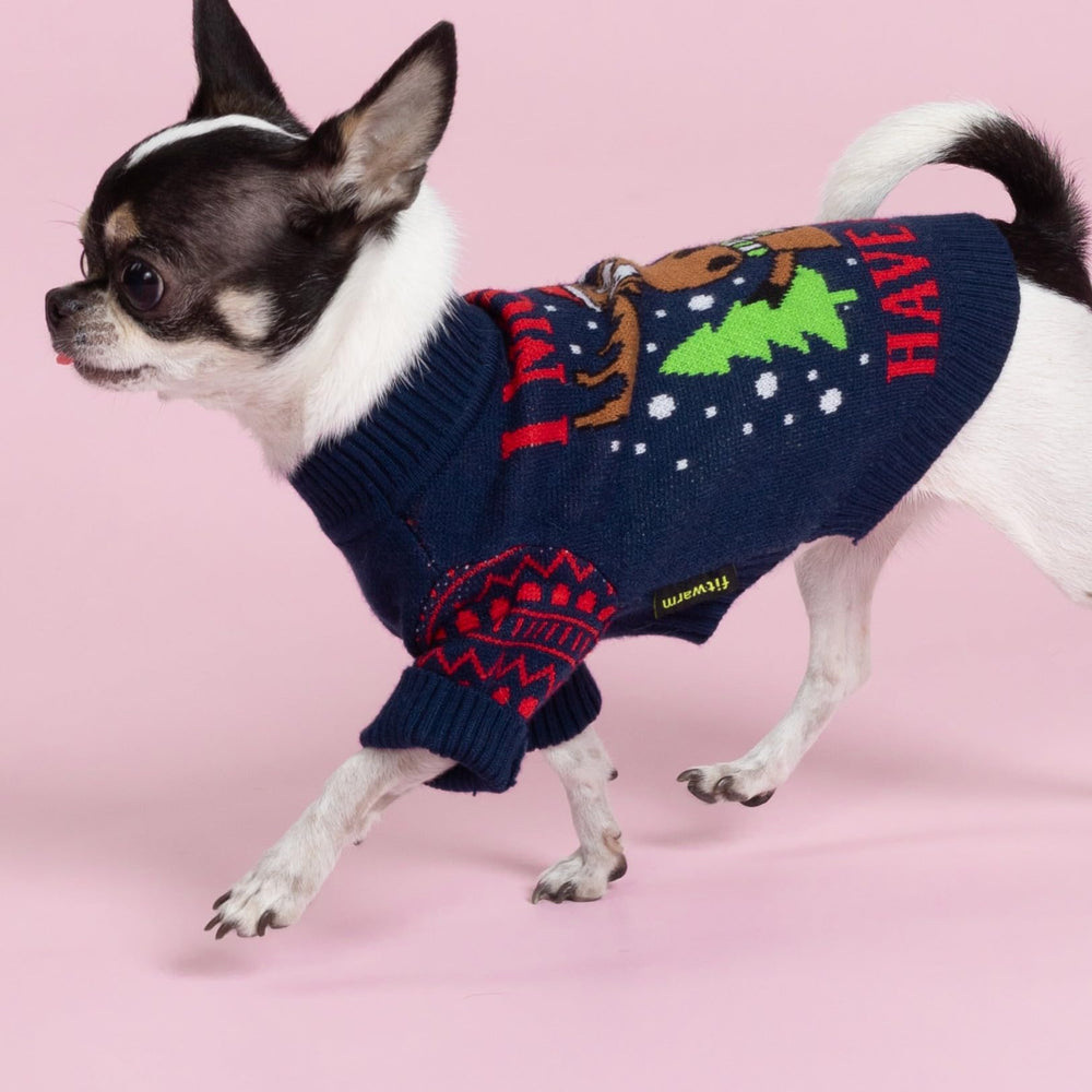 Fitwarm Medium size chart image shows fit for small breed dogs.