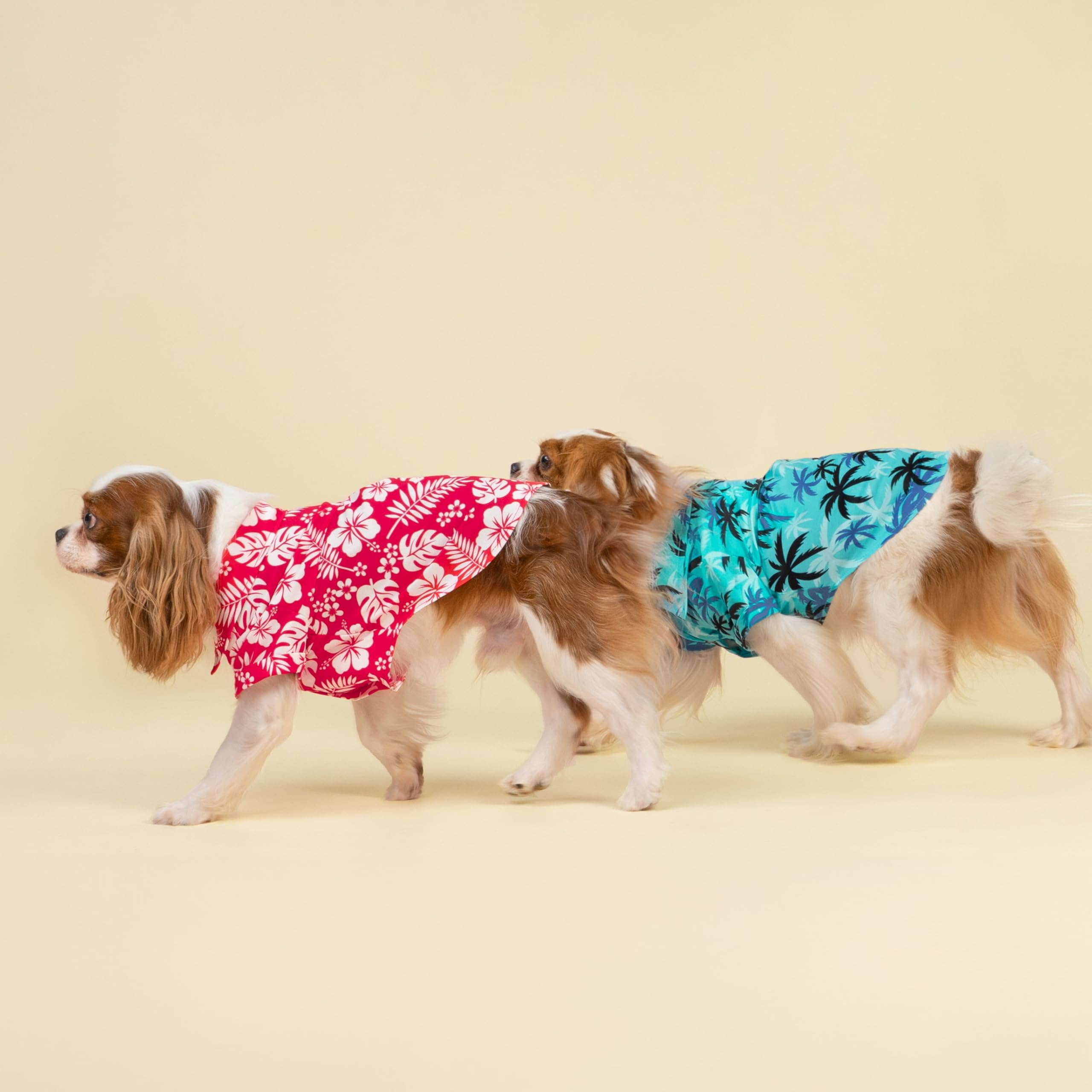 Fitwarm palm print on beach scene demonstrates vacation-ready vibe
