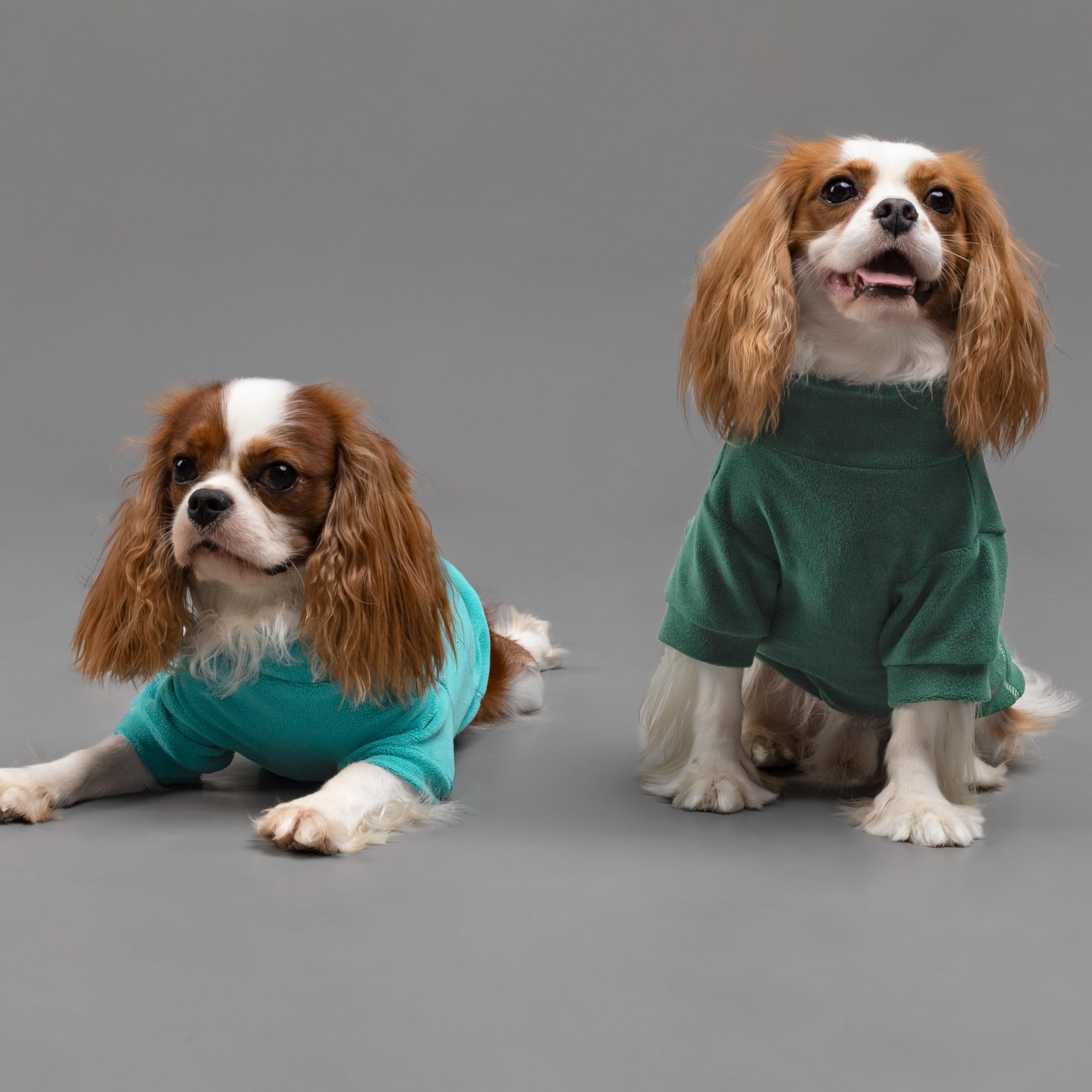 Fitwarm pullover dog-winter-clothes ideal for daily walks in cold weather.