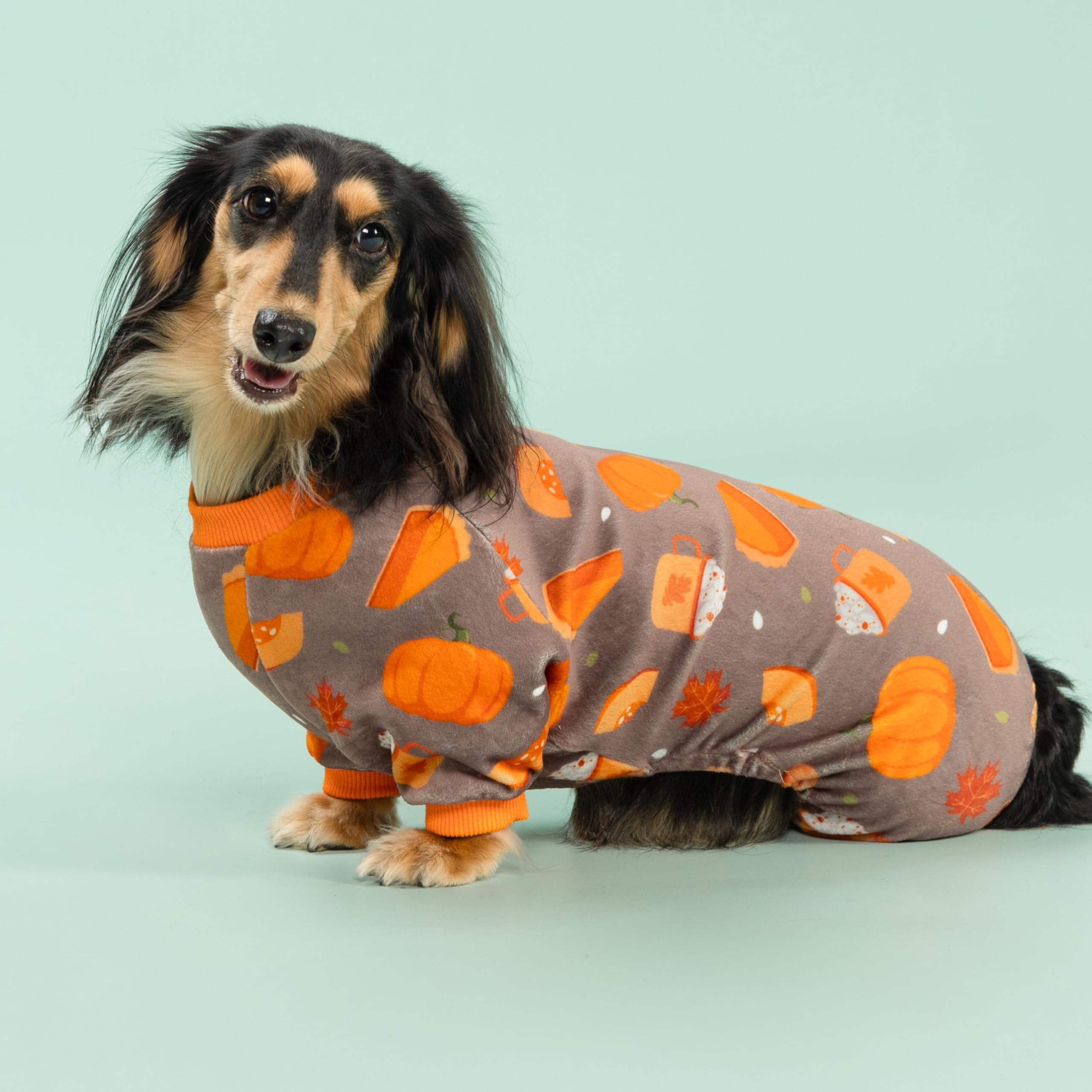 Fitwarm Pumpkin Dog Pajamas chest size guidance on small dog silhouette