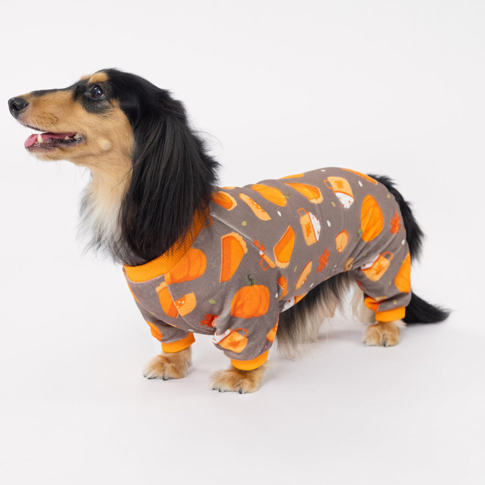 Fitwarm Pumpkin Dog Pajamas holiday pattern worn by a small dog