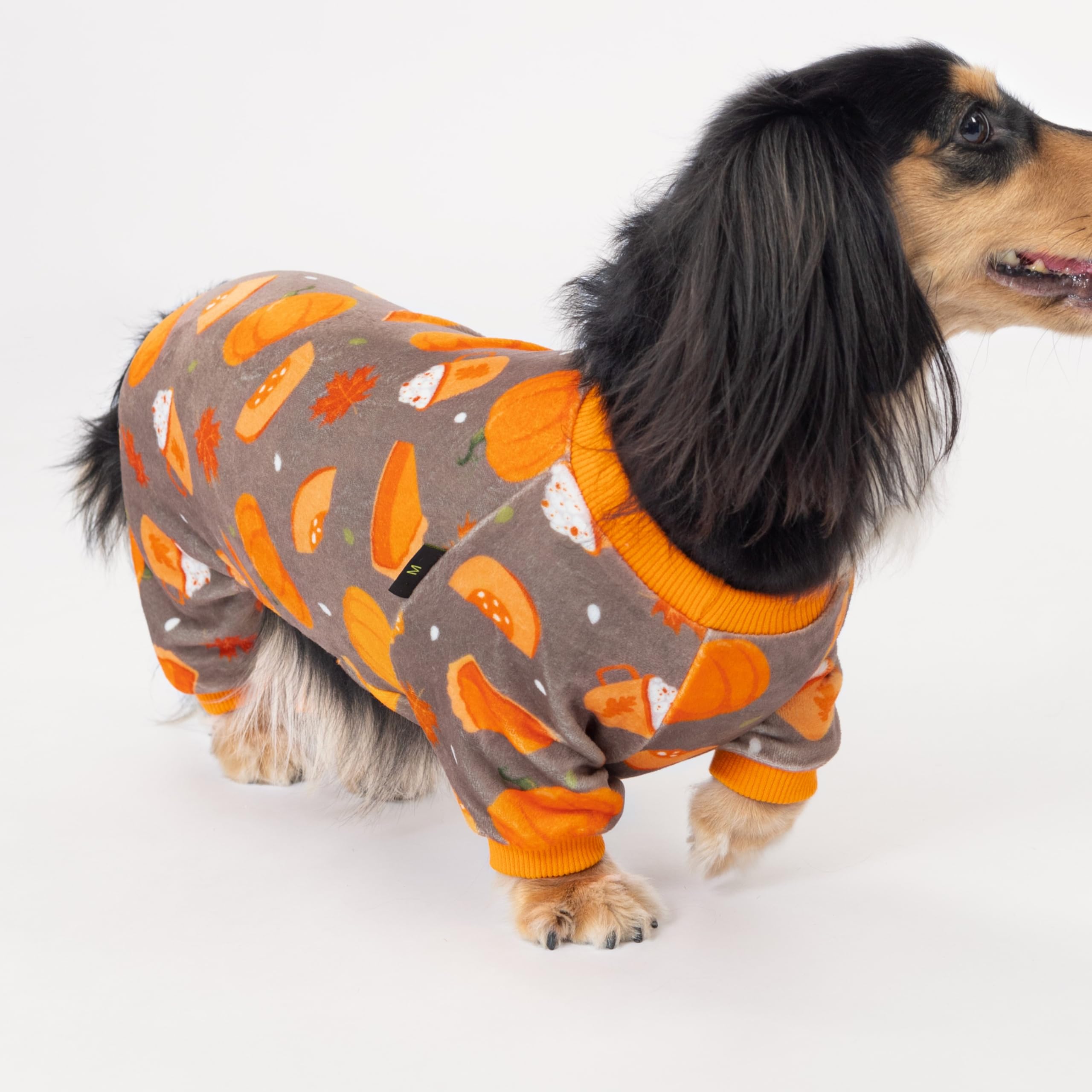 Fitwarm Pumpkin Dog Pajamas cozy scene with a dog resting at home