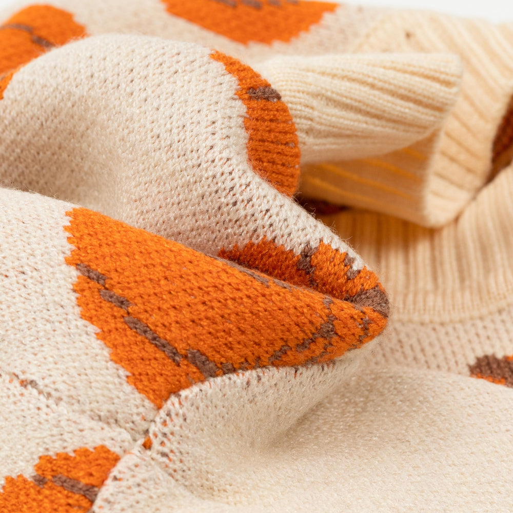 Fitwarm Pumpkin Dog Sweater on pet patch illustrates fall outing suitability