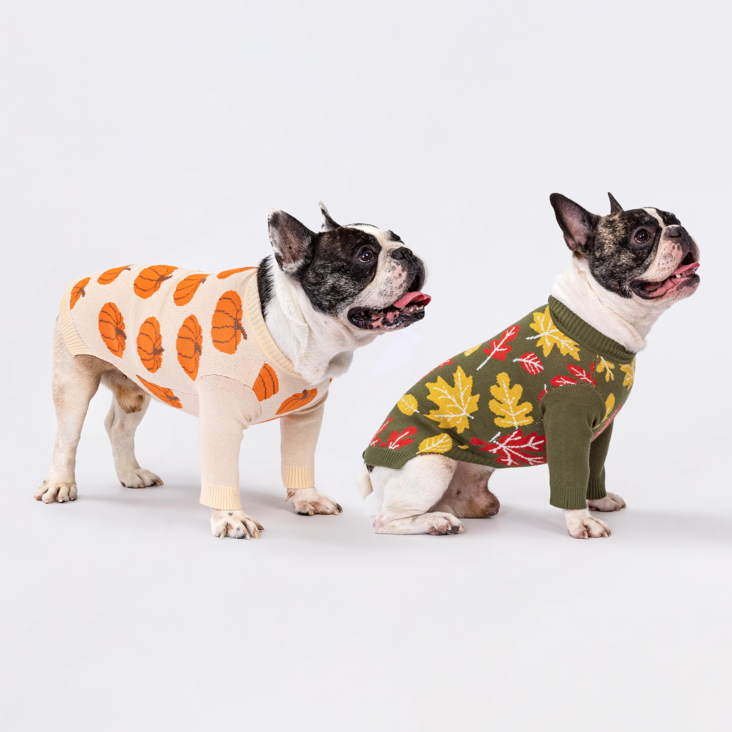 Fitwarm Pumpkin Dog Sweater ribbed collar focuses on secure, comfortable wear