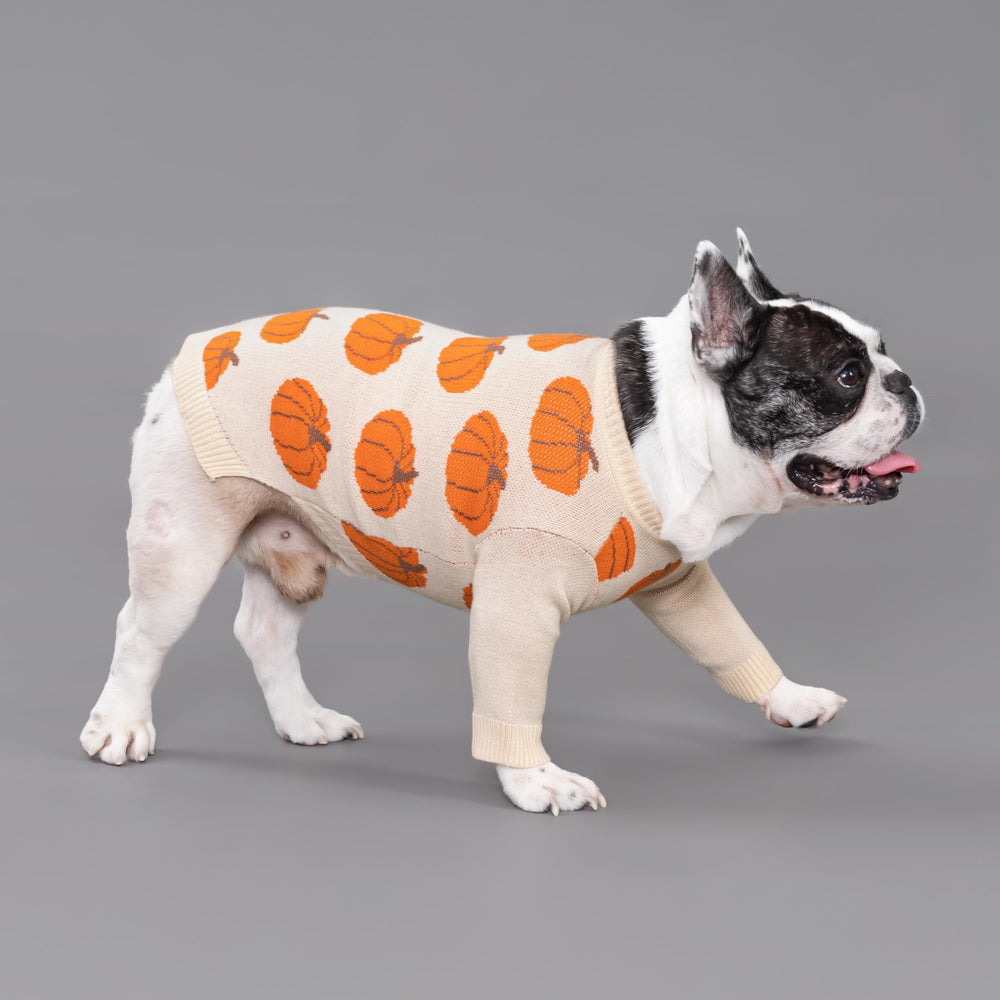 Fitwarm Pumpkin Dog Sweater side fit highlights a snug, adjustable look for daily walks