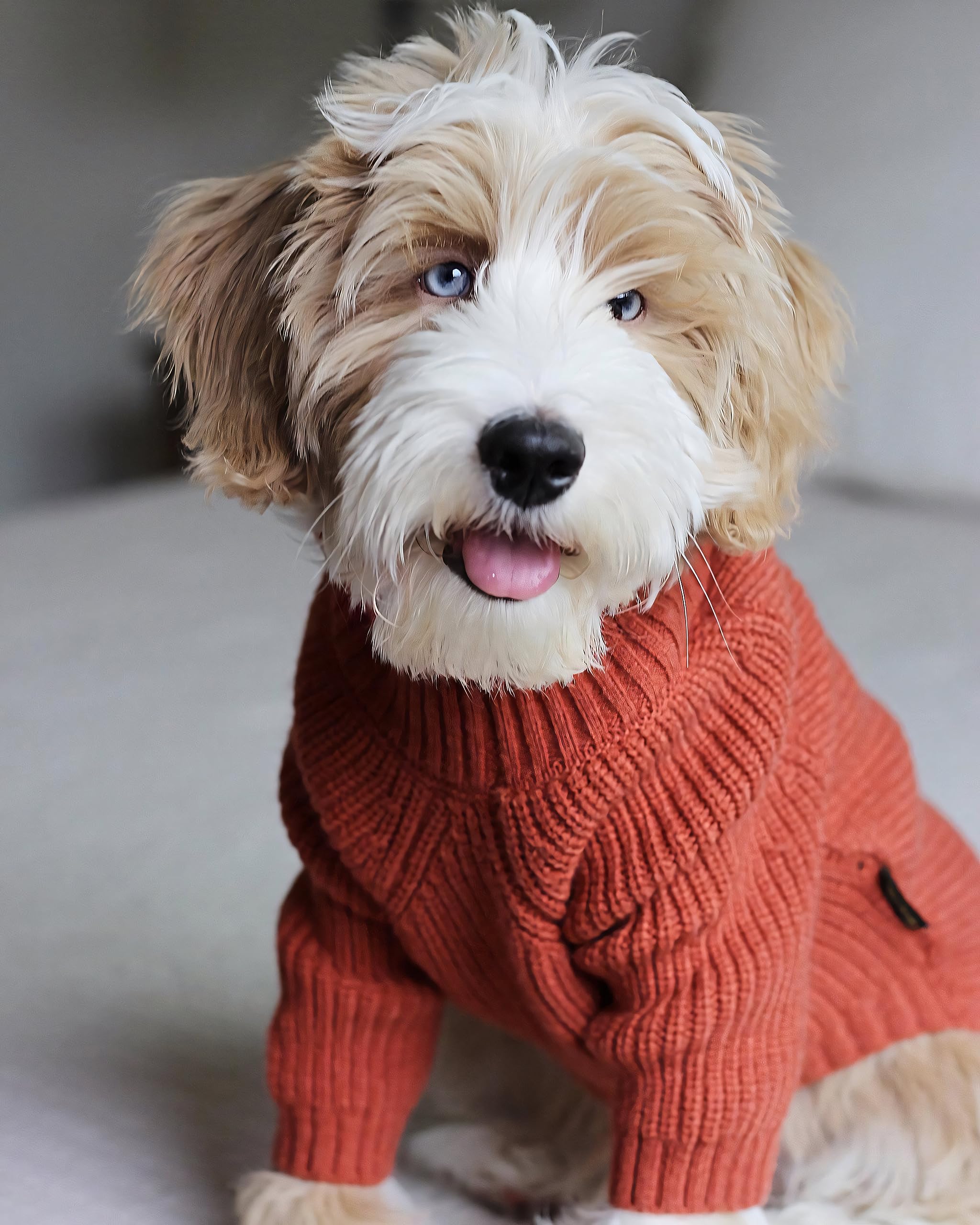 Fitwarm puppy winter coat turtleneck closeup shows soft fleece lining for extra warmth.