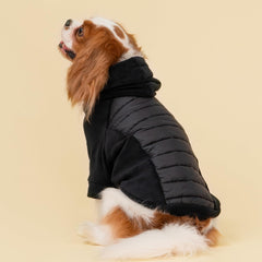 Fitwarm quilted fleece dog hoodie back view ideal for all-day comfort.