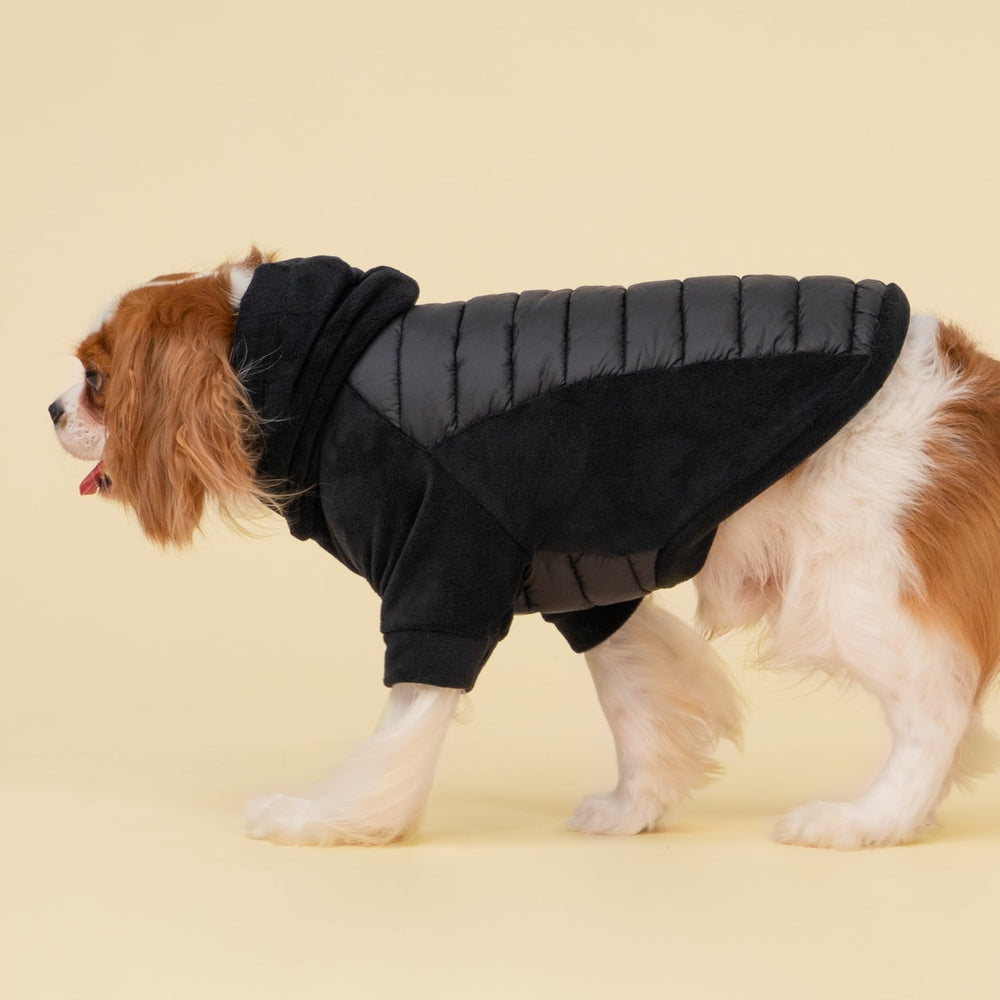 Fitwarm quilted fleece dog hoodie side wear highlighting flexible fit for daily adventures.
