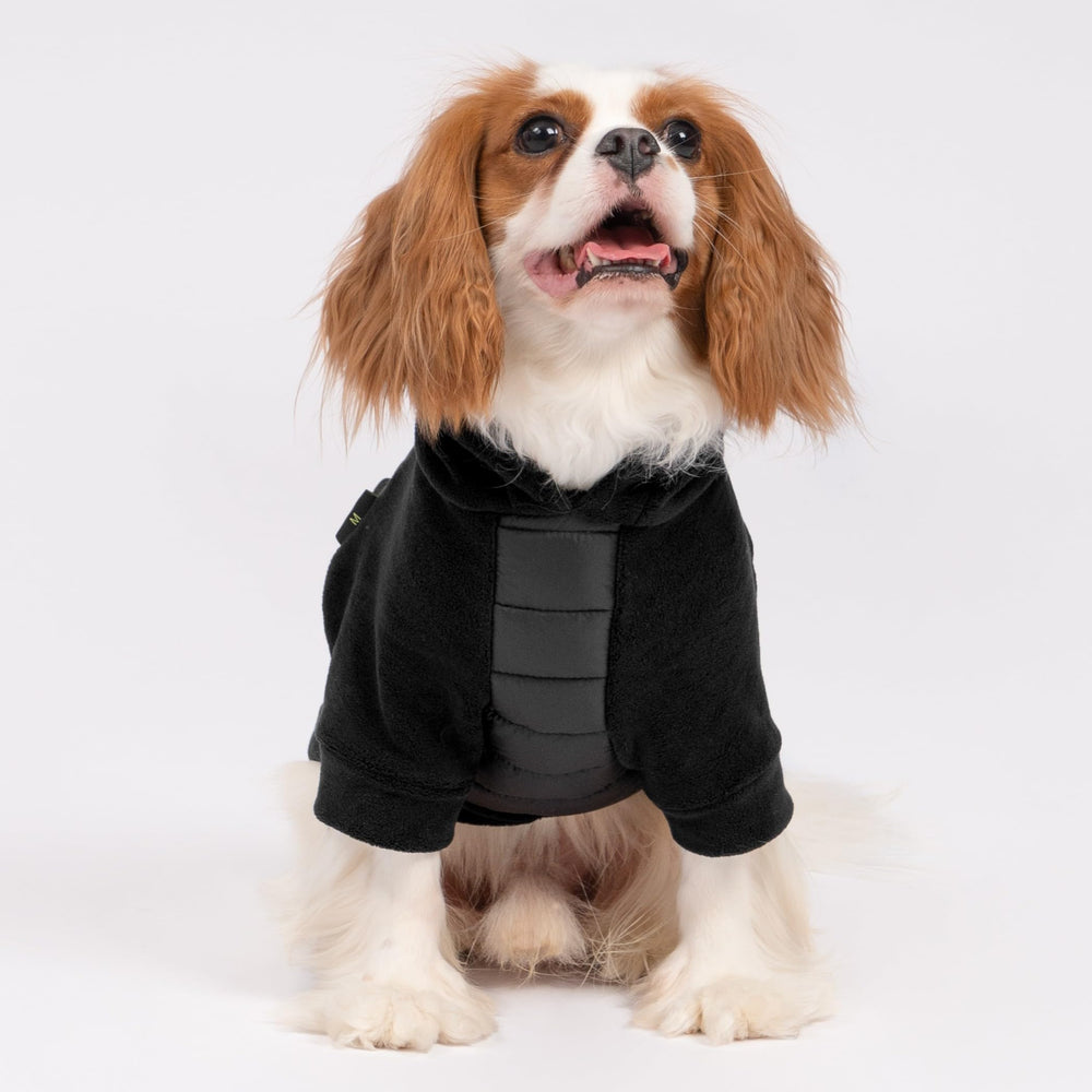 Fitwarm Quilted Fleece Dog Hoodie worn on dog illustrates everyday comfort during outings.