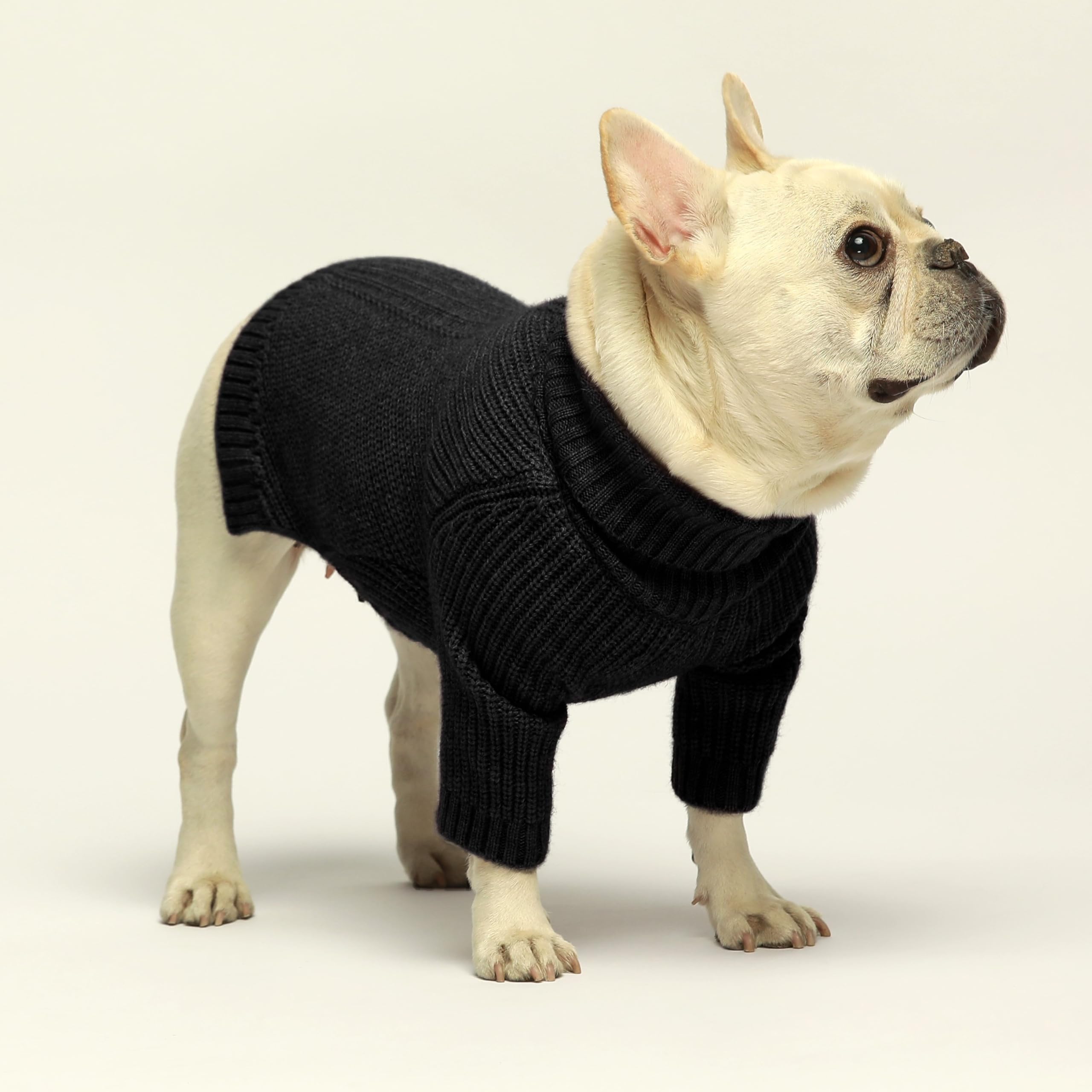 Fitwarm size guide small dog sweater chest view helps proper fit.