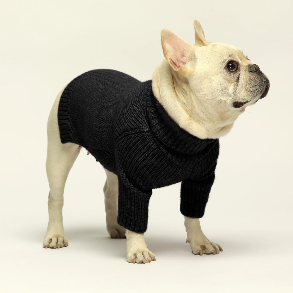 Fitwarm size guide small dog sweater chest view helps proper fit.