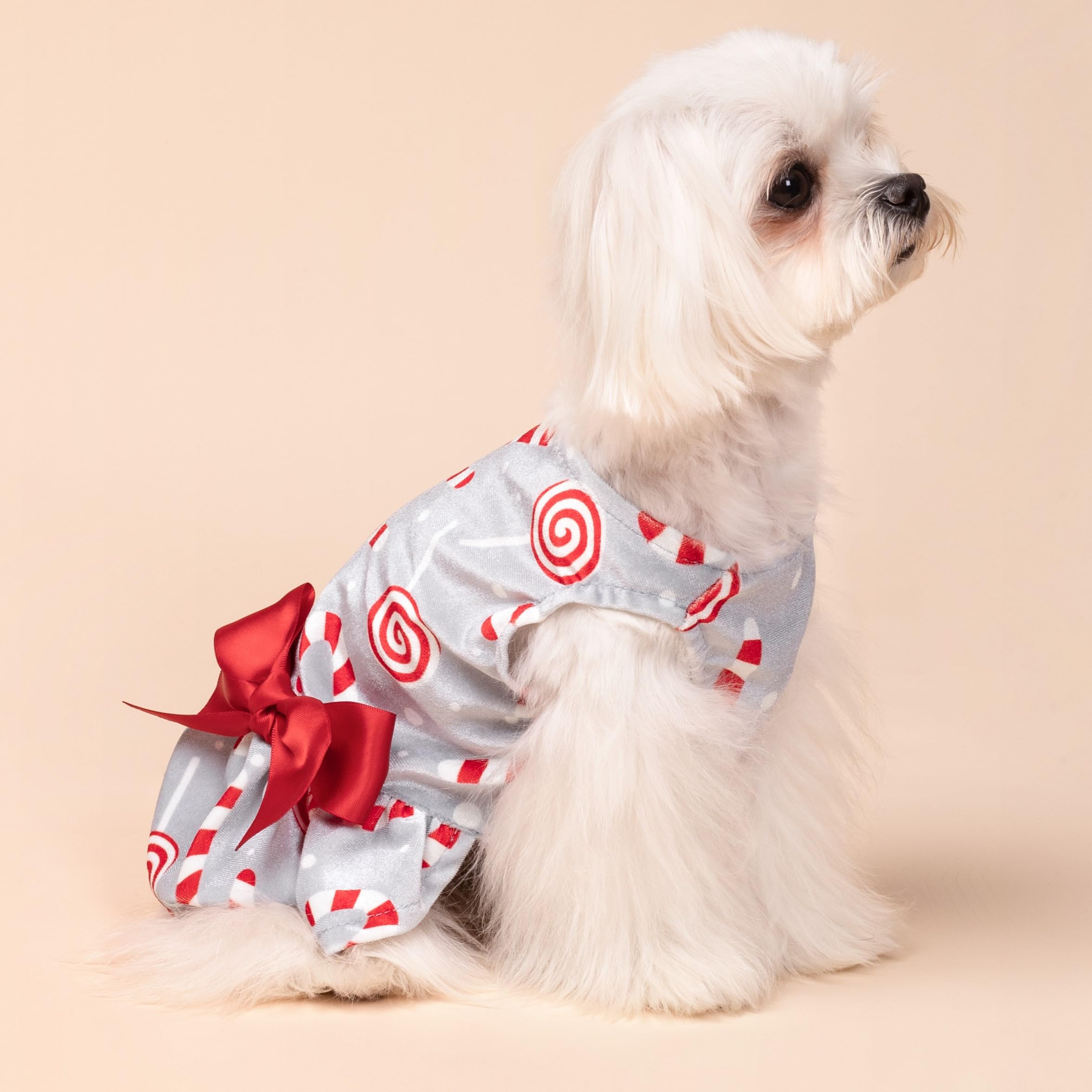 Fitwarm small-dog dress with red bow front for a festive look.