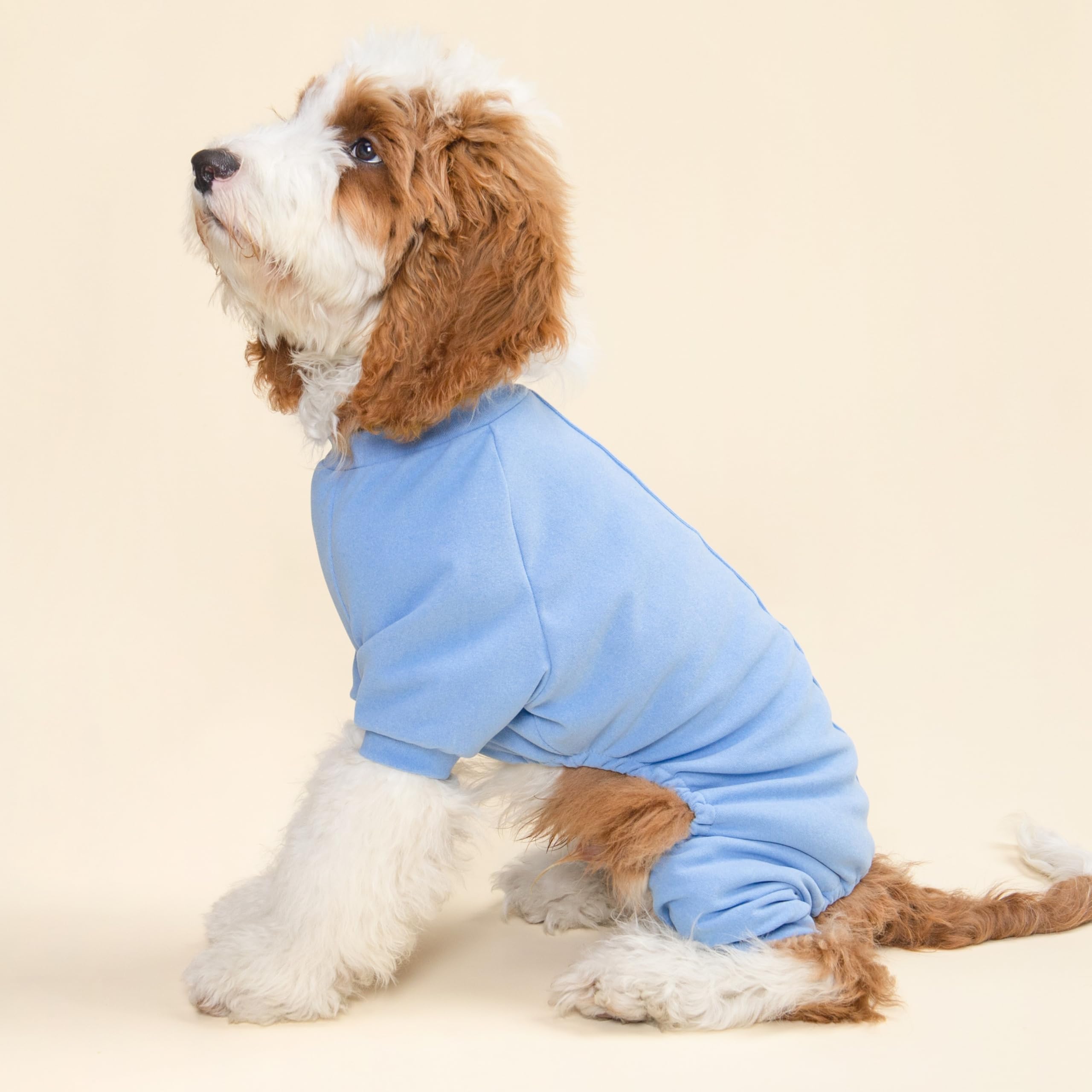 Fitwarm small dog pajamas light sky blue turquoise side view.