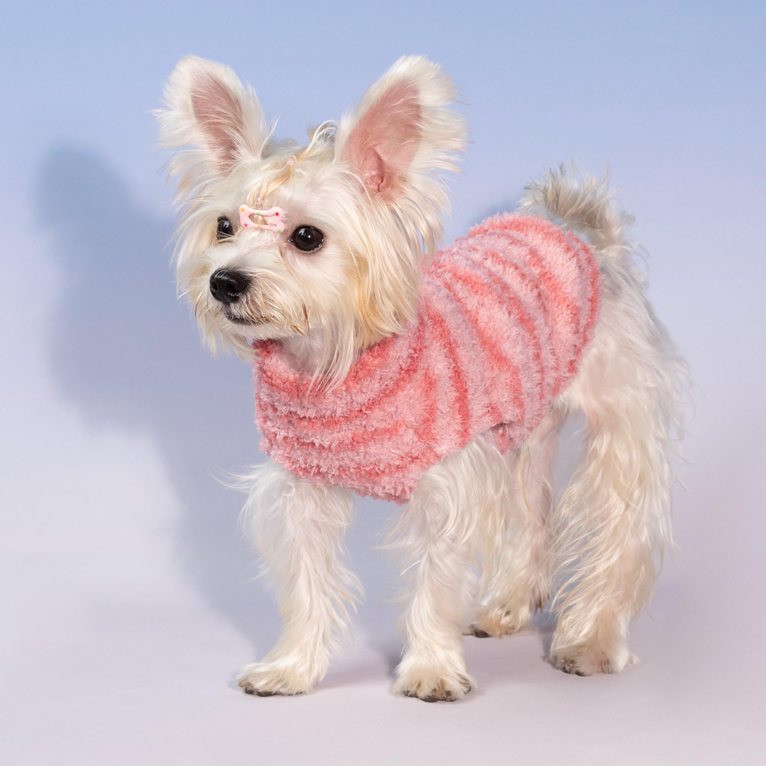 Fitwarm easy on off sweater helps quick potty breaks during walks