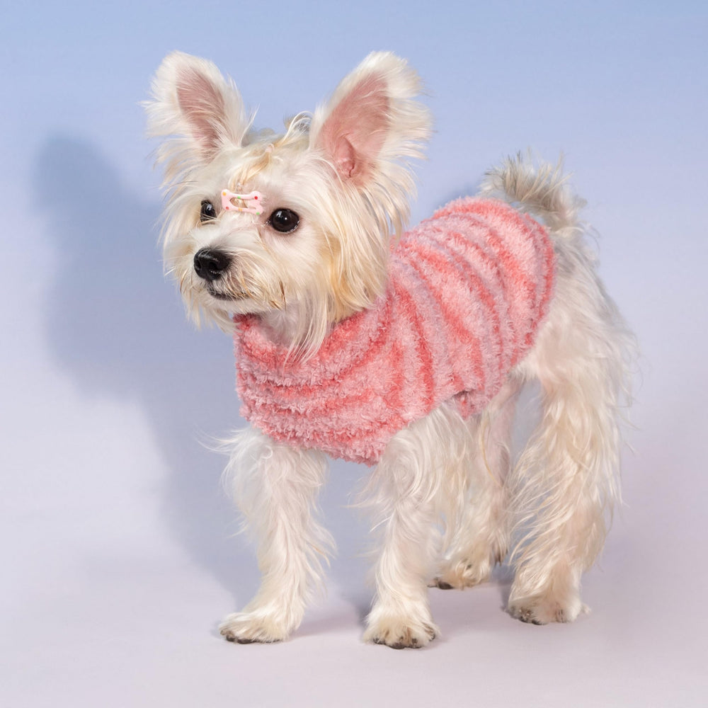 Fitwarm easy on off sweater helps quick potty breaks during walks