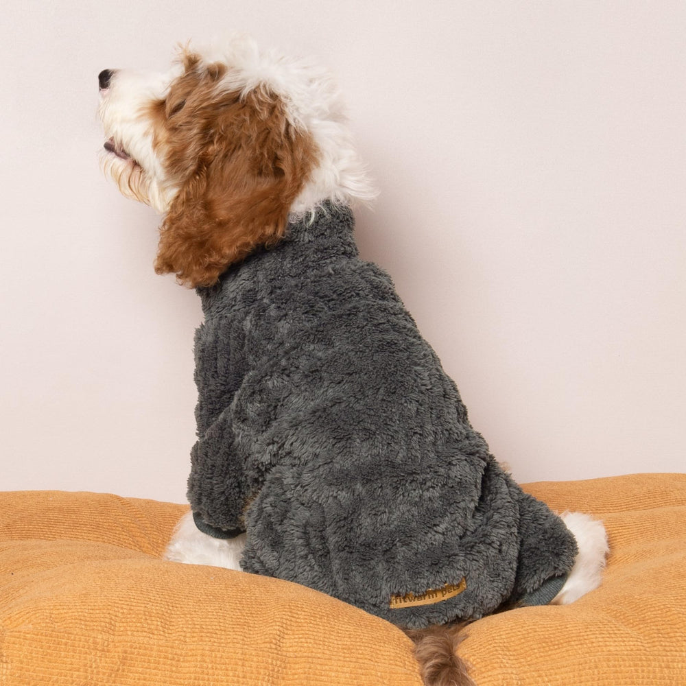 Fitwarm small dog outdoors wearing the outfit in chilly weather