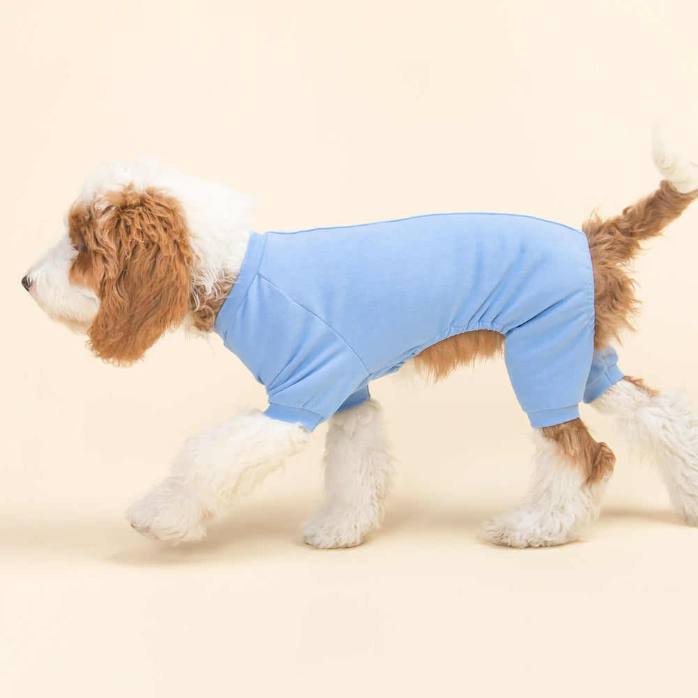 Fitwarm soft fleece texture close-up on dog pajamas.