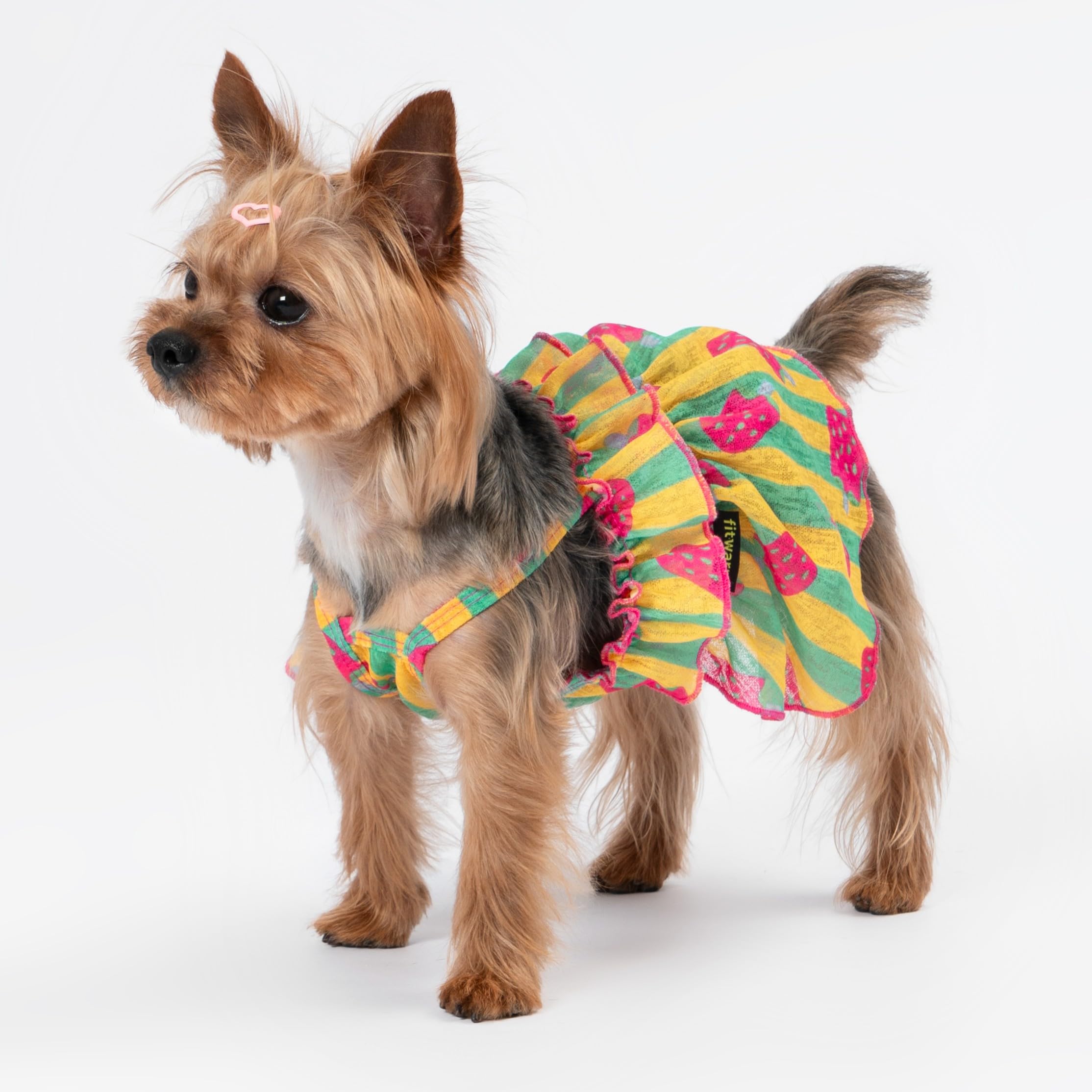 Fitwarm Strawberry Ice Pop Dress front stripes, cheerful print for sunny walks.