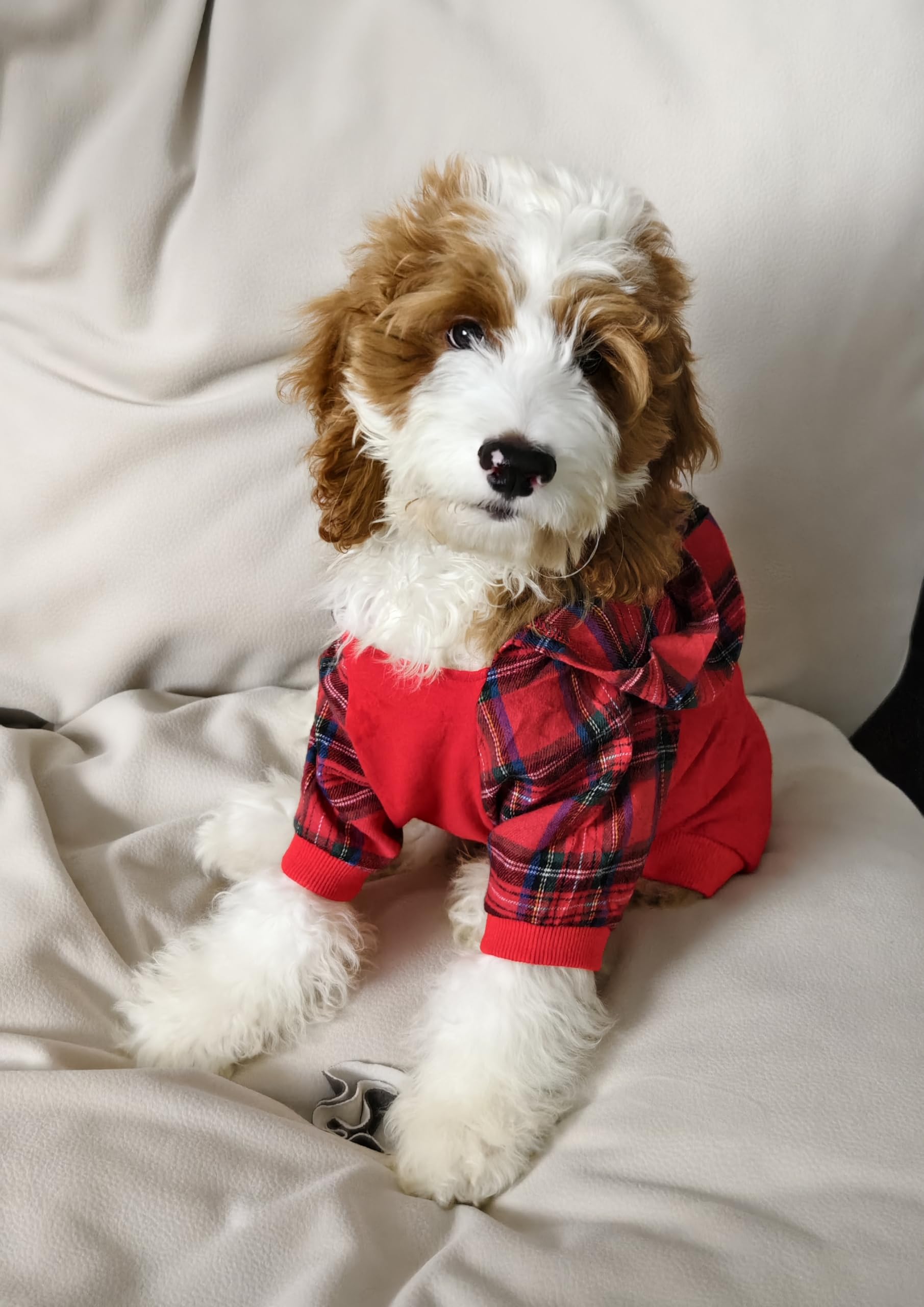 Fitwarm tartan plaid dog hoodie back view to notice length and fit