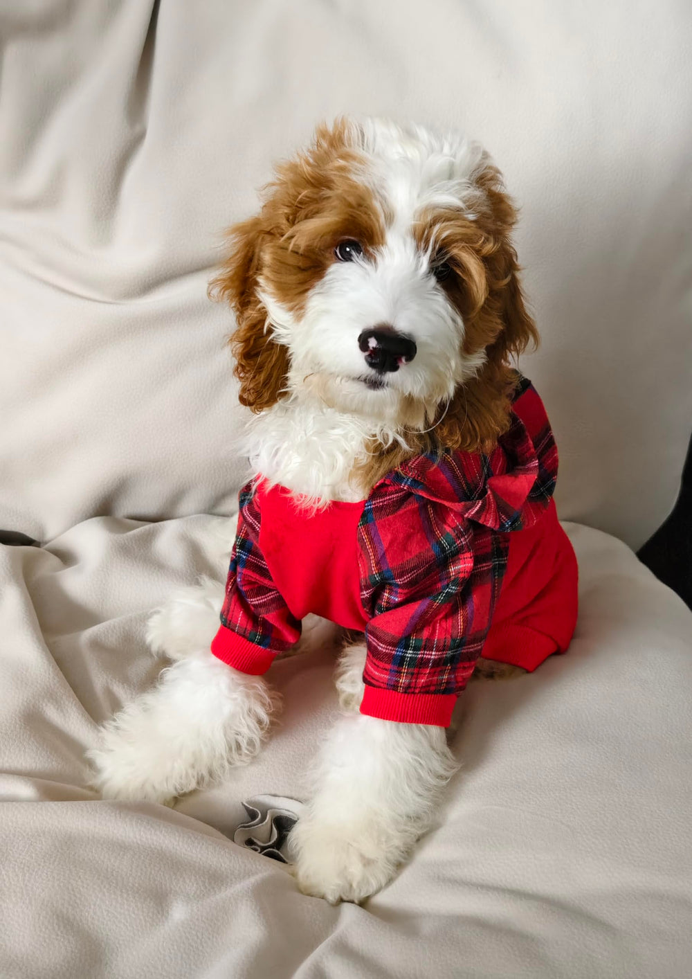 Fitwarm tartan plaid dog hoodie back view to notice length and fit